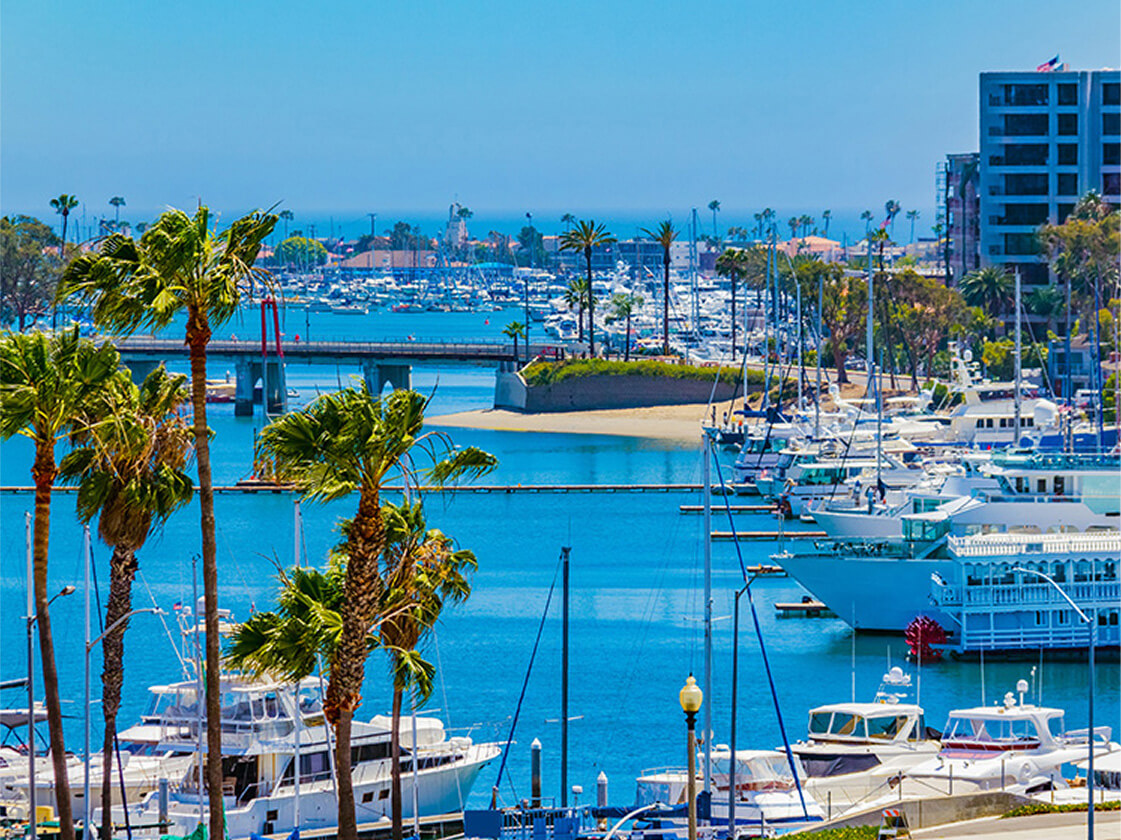 Orange County waterfront with boats and palm trees