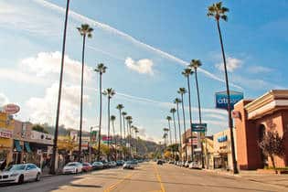 Palm-lined street in Studio City, San Fernando Valley